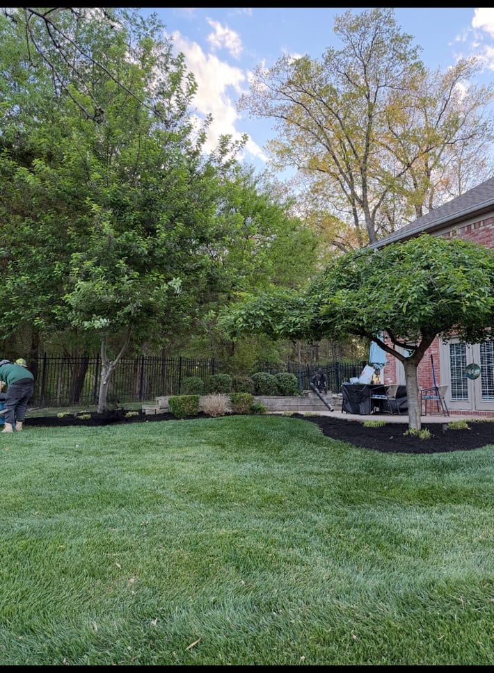 Manicured back yard with mature trees, mulched beds, and a clean lawn under golden-hour light