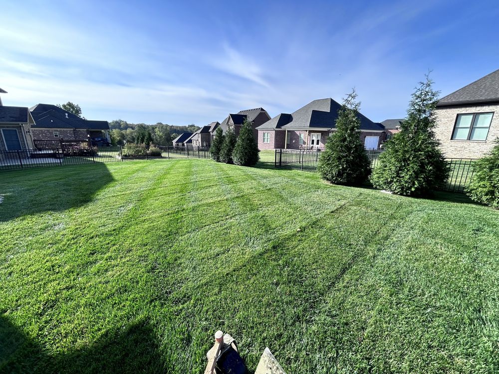 Maintained lawn with mature landscape edging — a representative property under weekly care