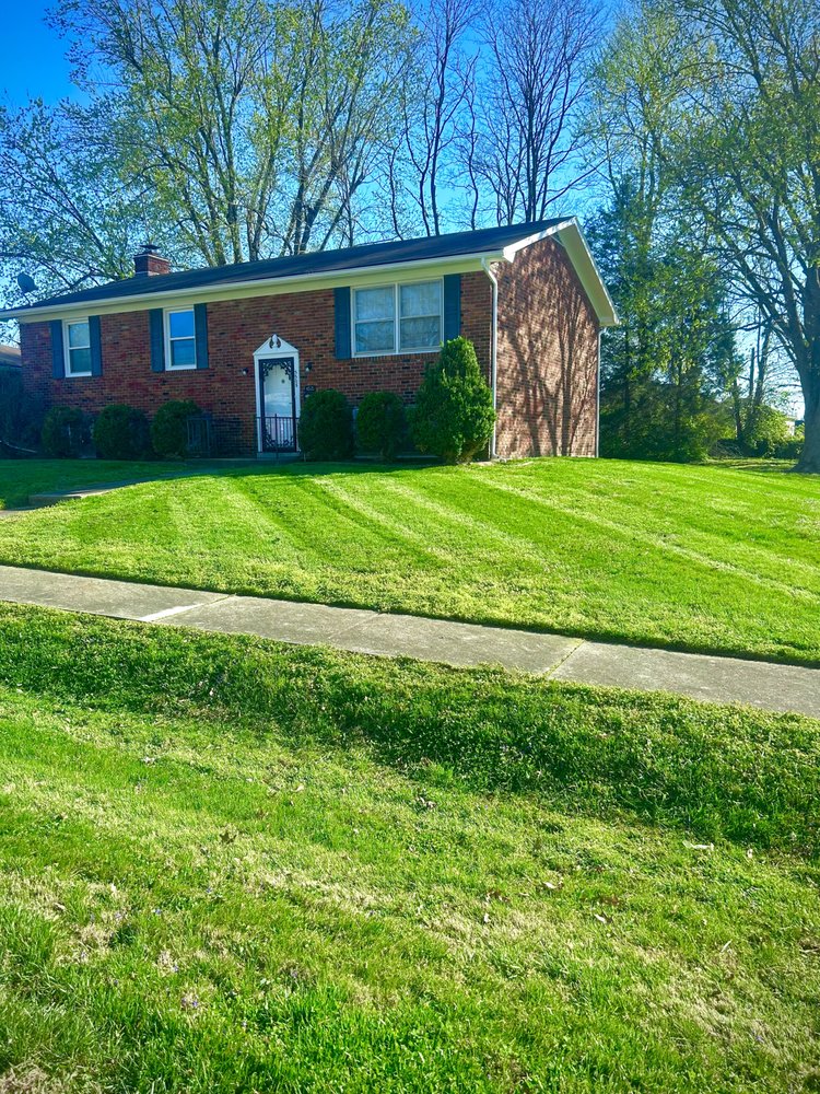 Curb appeal lawn