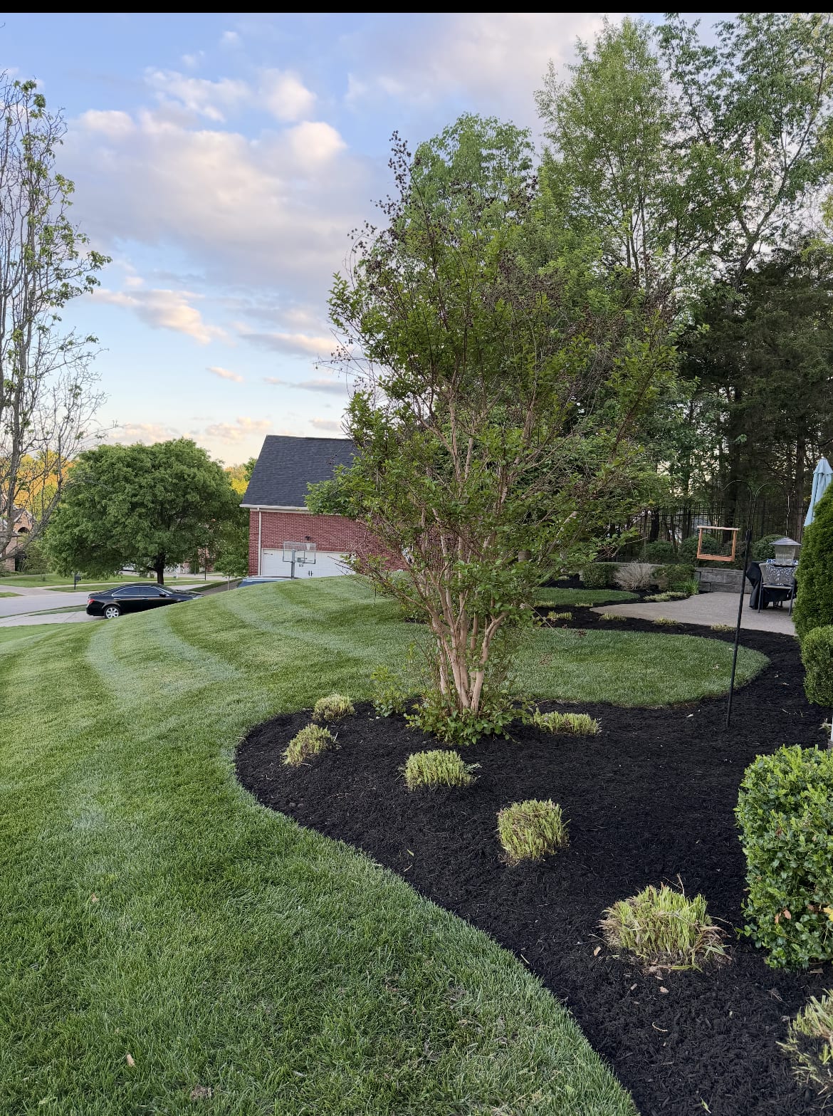 Front-yard landscape design with mulched beds and fresh plantings against a residential home