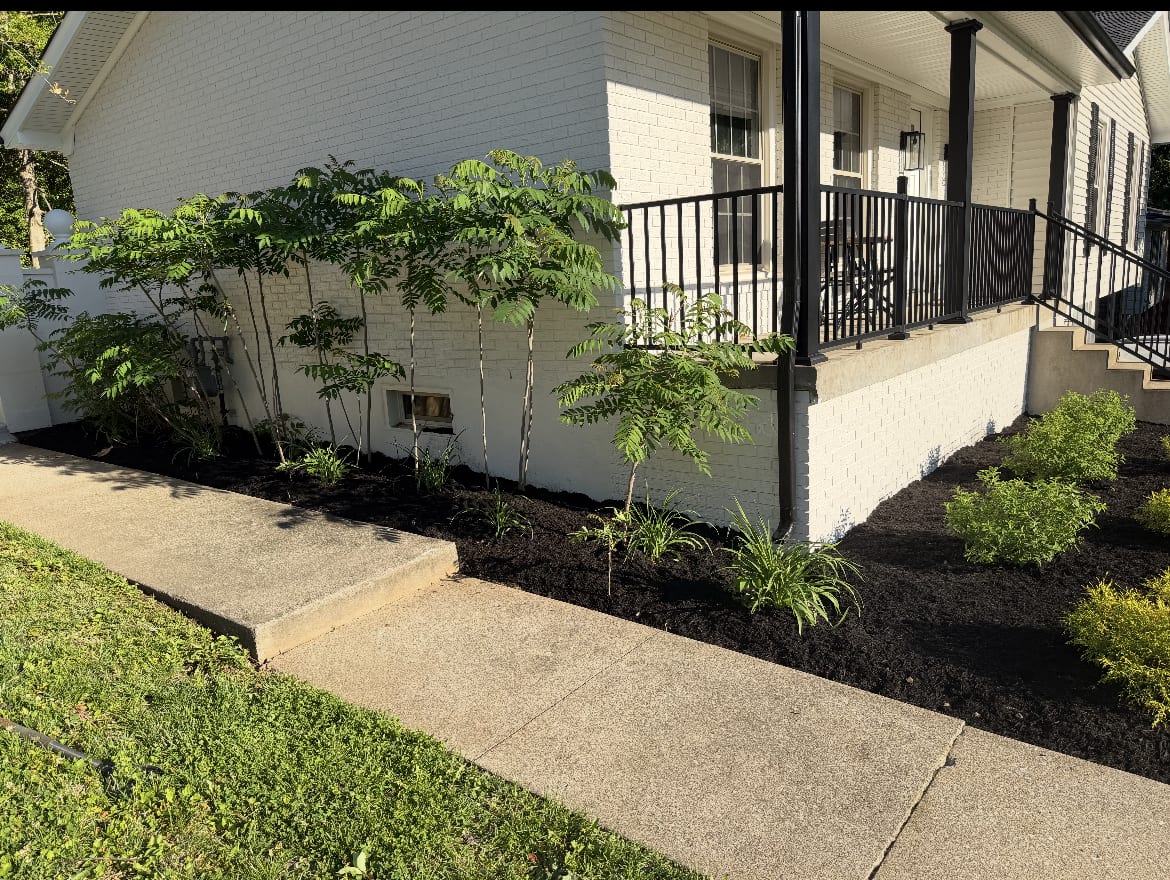 Freshly installed landscape bed with new plantings along a painted white home